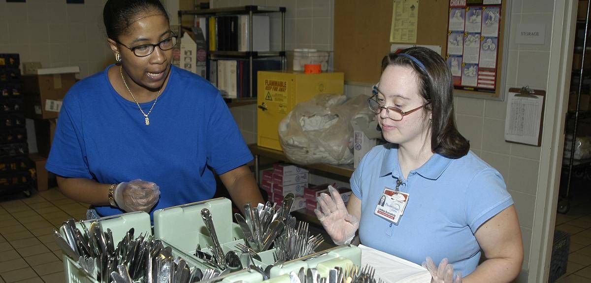 Supported Employment